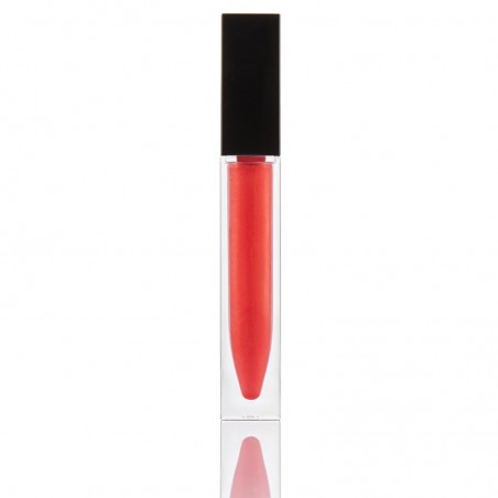 Gloss à lèvres Orange N°2308