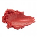 Rouges à lèvres rouge tomate N°262