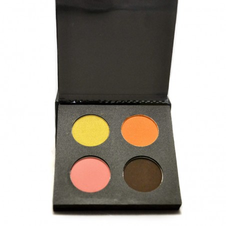 palette de maquillage professionnel